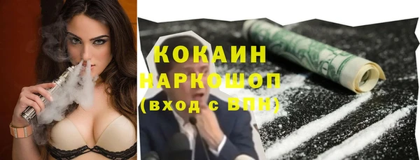 ECSTASY Новозыбков